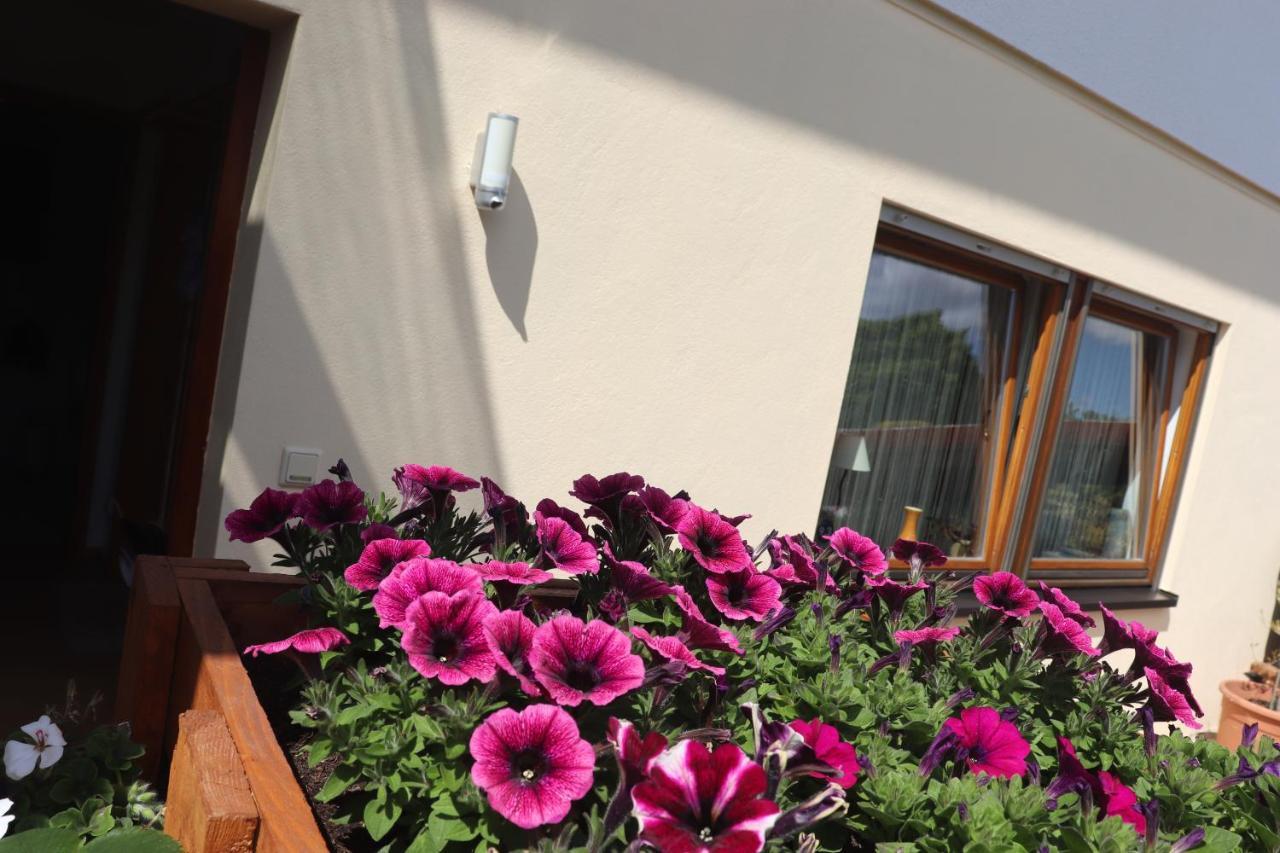 Ferienwohnung Pimer Ranschbach Dış mekan fotoğraf
